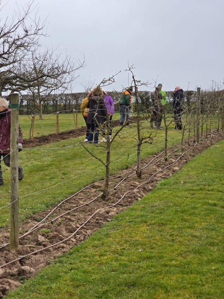 Baumpflanzaktion 2025